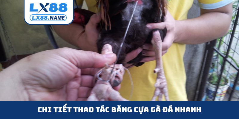 Chi tiết thao tác băng cựa gà đá nhanh