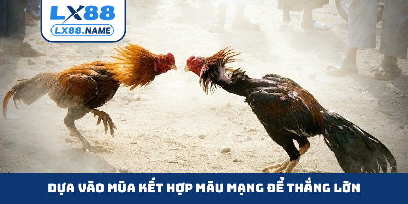 Dựa vào mùa kết hợp màu mạng để thắng lớn