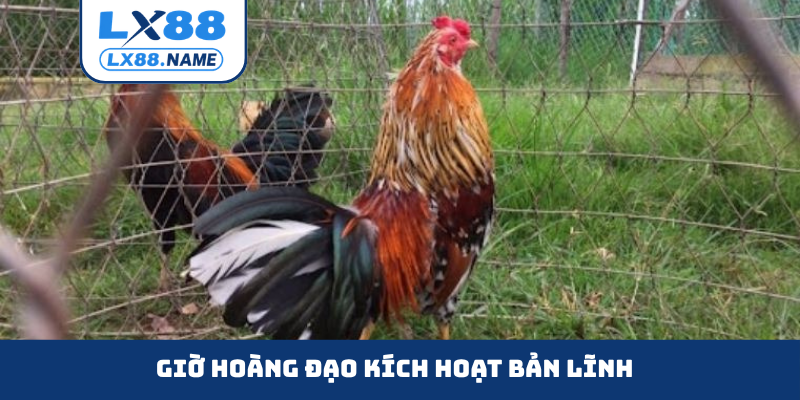 Giờ hoàng đạo kích hoạt bản lĩnh