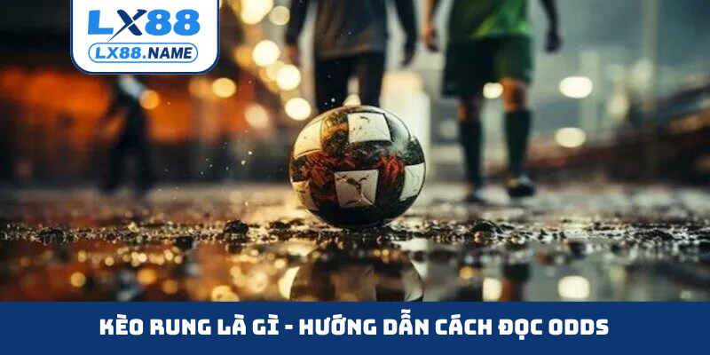 Kèo rung là gì