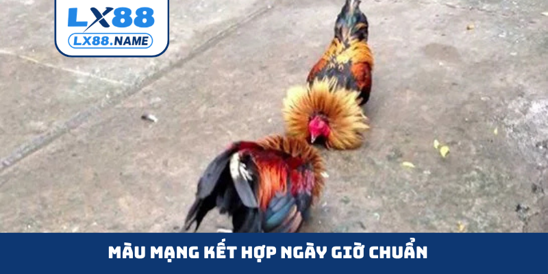 Màu mạng kết hợp ngày giờ chuẩn