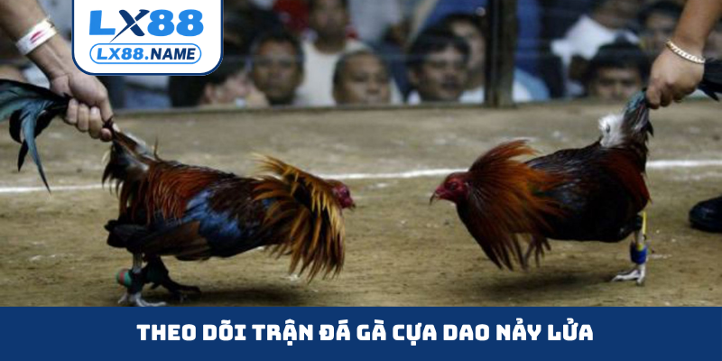 Theo dõi trận đá gà cựa dao nảy lửa